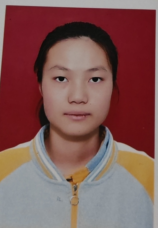 语文,数学,英语,物理,化学,历史,政治